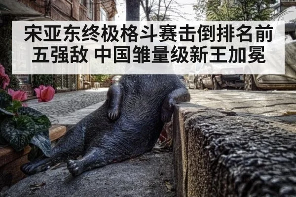 宋亚东终极格斗赛击倒排名前五强敌 中国雏量级新王加冕