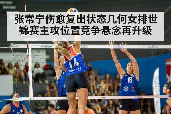 volleyball match action