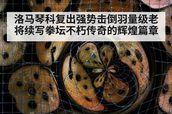 洛马琴科复出强势击倒羽量级老将续写拳坛不朽传奇的辉煌篇章